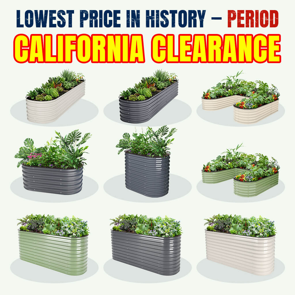 【California Only】 Local Stock Clearance | Extra Savings
