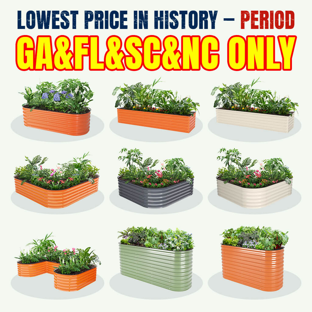 【GA&FL&SC&NC Only】 Local Stock Clearance | Extra Savings
