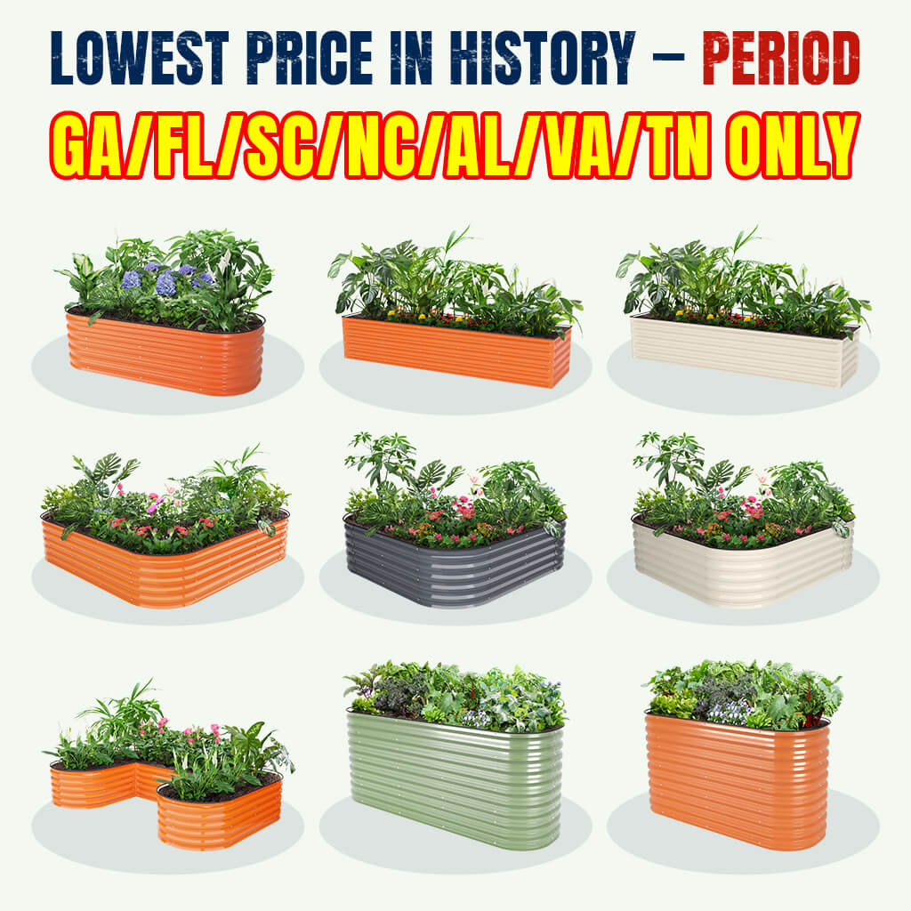 【GA/FL/SC/NC/AL/VA/TN Only】 Local Stock Clearance | Extra Savings