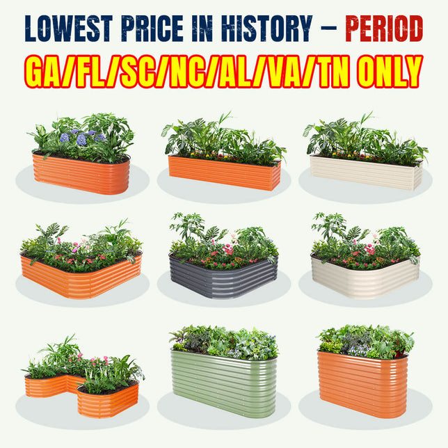 【GA/FL/SC/NC/AL/VA/TN Only】 Local Stock Clearance | Extra Savings