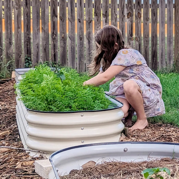 11'' Tall 6.5x2 Galvanized Raised Flower Bed (6 in 1)【Upgrade 2.0】