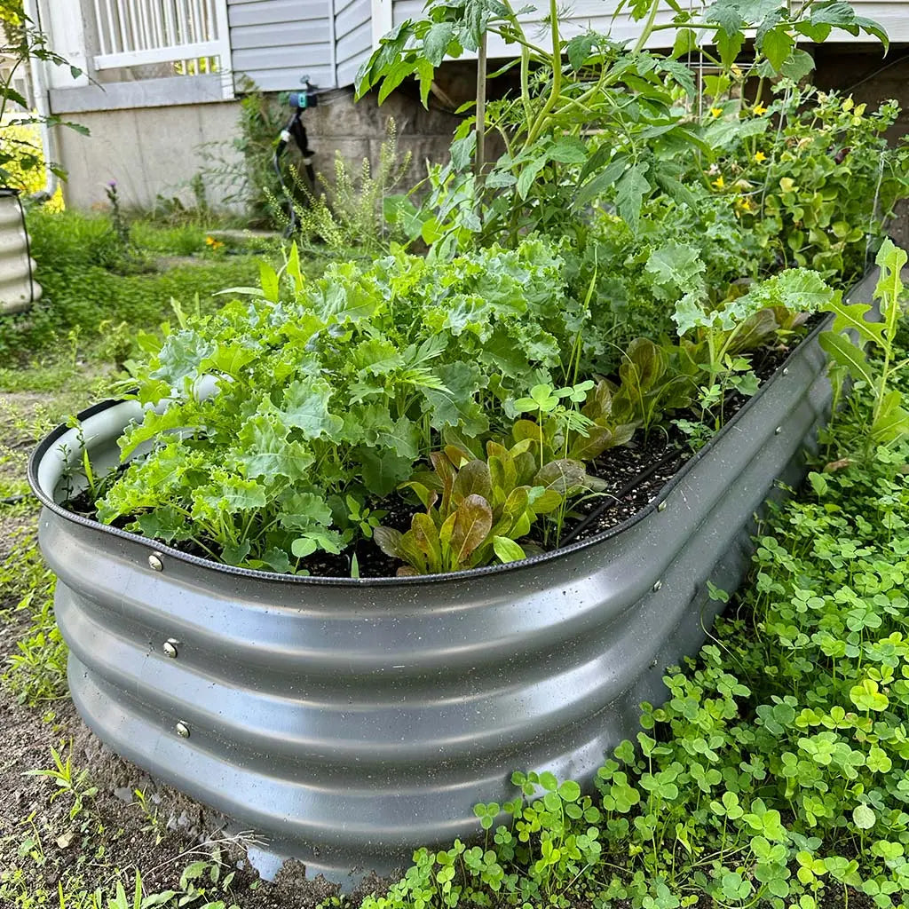11'' Tall 6.5x2 Galvanized Raised Flower Bed (6 in 1)【Upgrade 2.0】