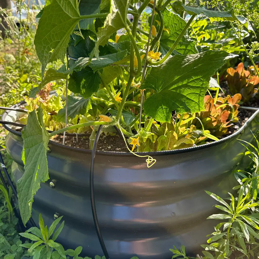 11'' Tall 6.5x2 Galvanized Raised Flower Bed (6 in 1)【Upgrade 2.0】