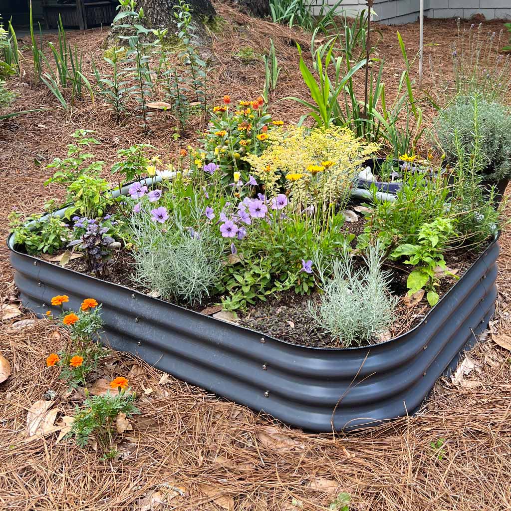 11'' Tall 6.5x2 Galvanized Raised Flower Bed (6 in 1)【Upgrade 2.0】