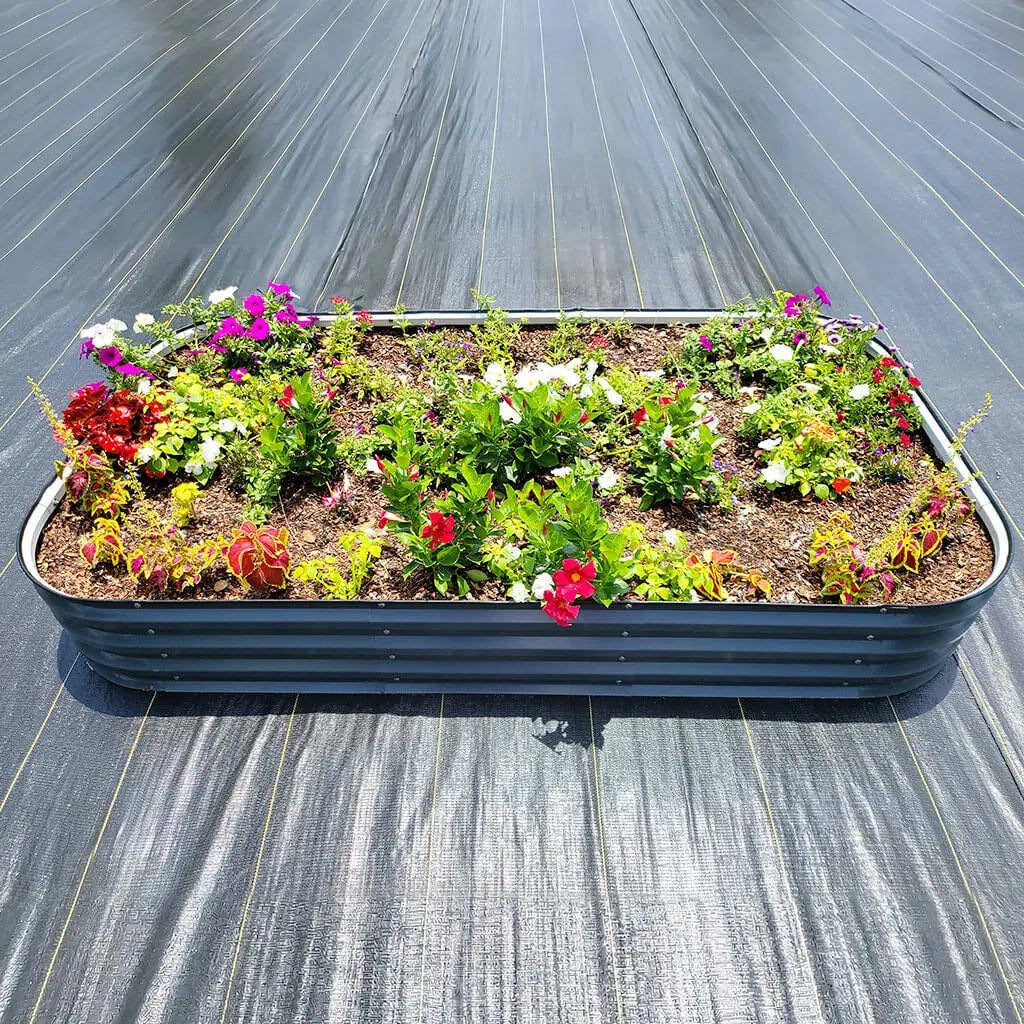 growing flowers in corrugated metal flower bed-Vegega