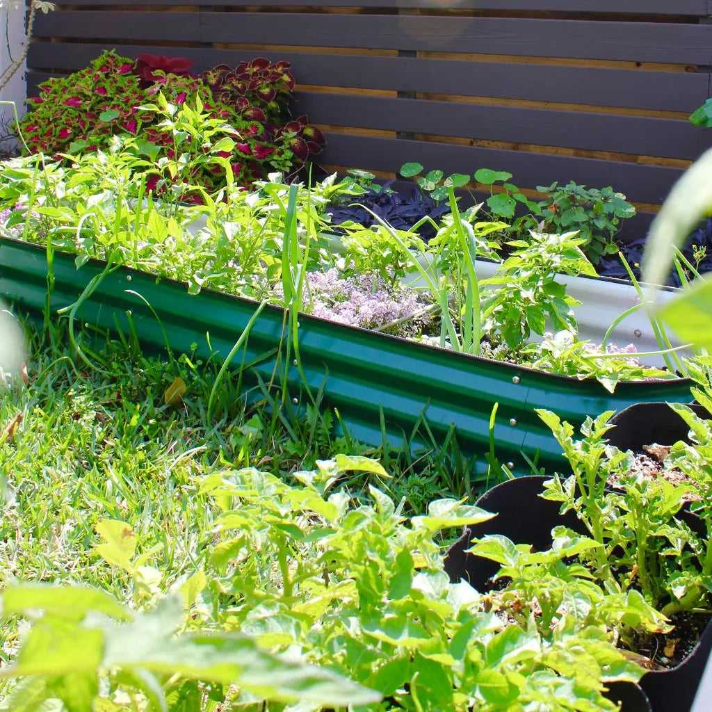 11'' Tall 8x2 Corrugated Metal Flower Beds (9 in 1)【Upgrade 2.0】