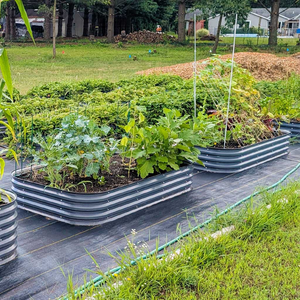 11'' Tall 8x2 Corrugated Metal Flower Beds (9 in 1)【Upgrade 2.0】