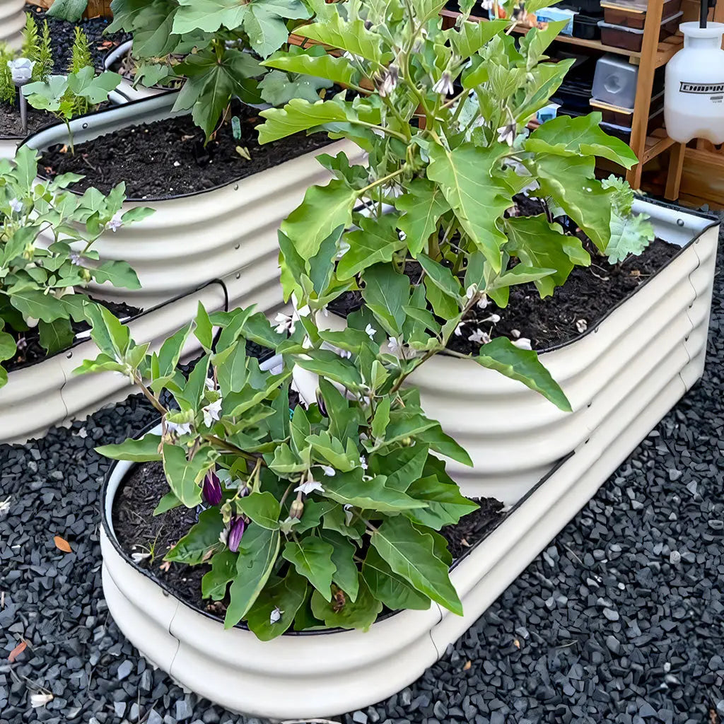2-Tiered Garden Bed growing flowers