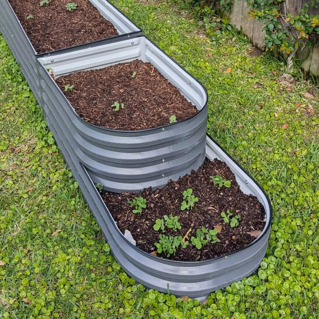 2-Tiered Garden Bed growing plants