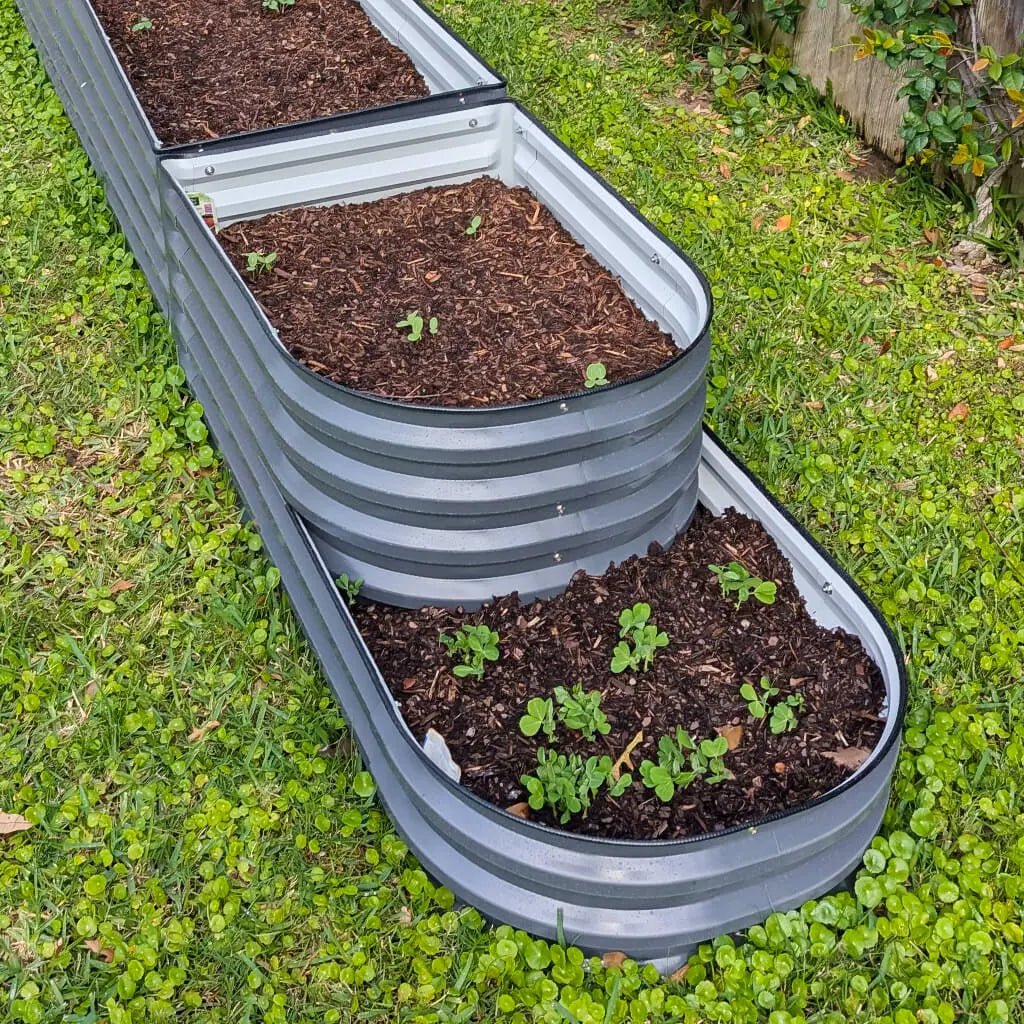 2-Tiered Garden Bed growing plants