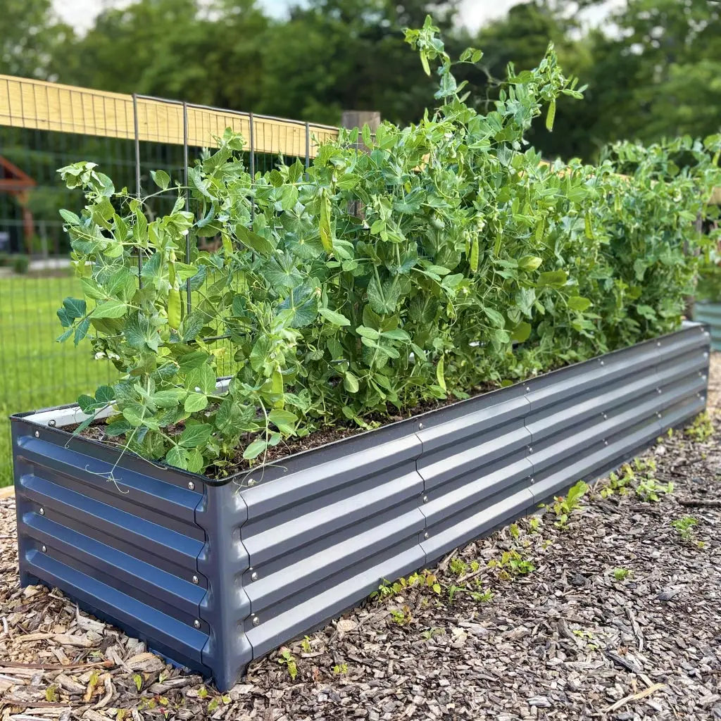 2x8 Rectangle Raised Garden Bed
