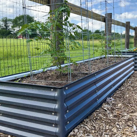 2x8 Raised Garden Bed rectangular