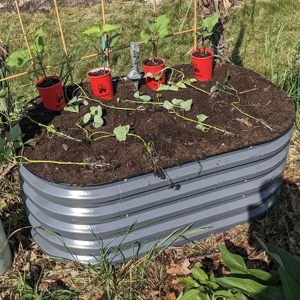 corrugated raised garden bed grows potatoes-Vegega