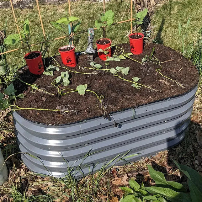 corrugated raised garden bed grows potatoes-Vegega