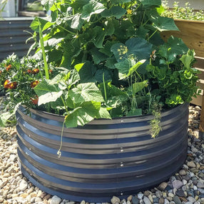 grey circle raised garden beds-Vegega