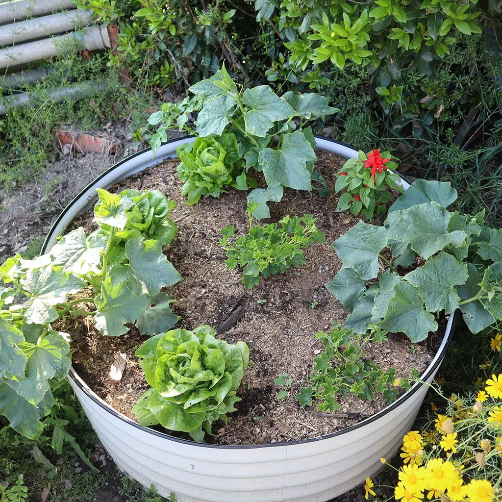 17'' Tall 42'' Wide Round Raised Garden Beds【Upgrade 2.0】