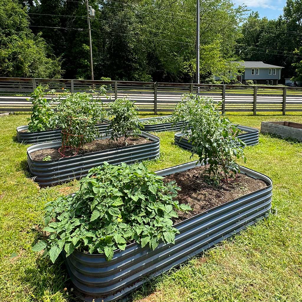 4x8 raised garden beds layout in garden-Vegega