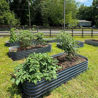 4x8 raised garden beds layout in garden-Vegega