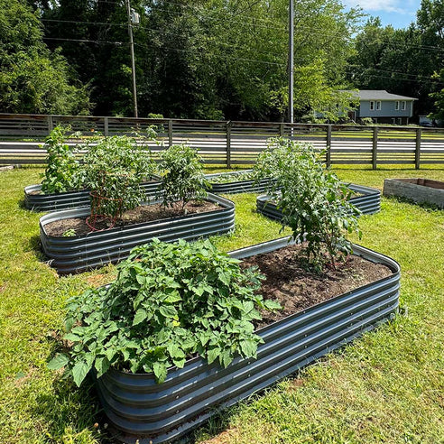 4x8 raised garden beds layout in garden-Vegega