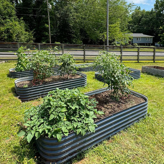 4x8 raised garden beds layout in garden-Vegega