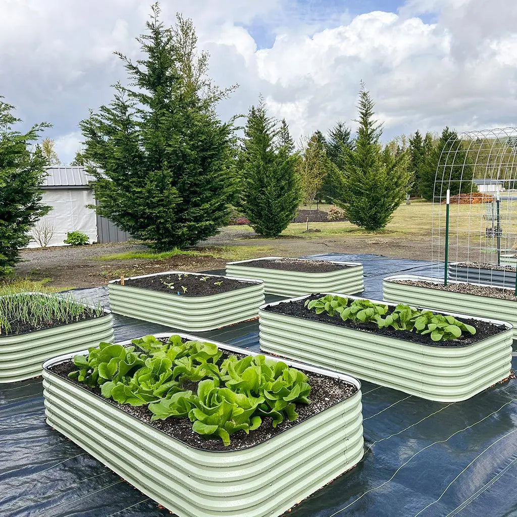 raised garden bed ideas-Vegega