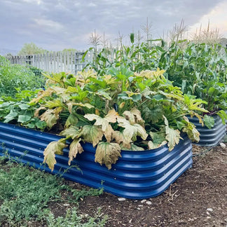 4x8 Metal Raised Garden Beds