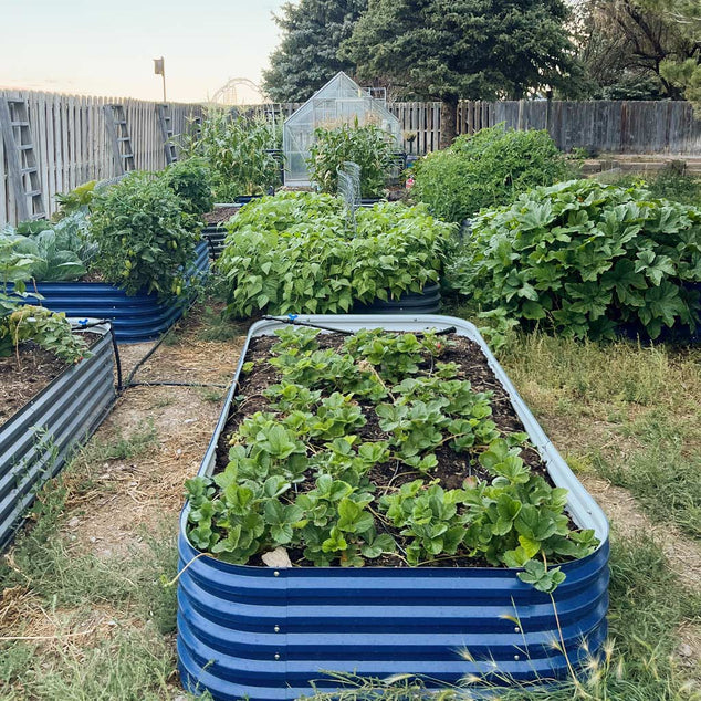 17'' Tall 4x8 Metal Raised Garden Beds (10 in 1)【Upgrade 2.0】