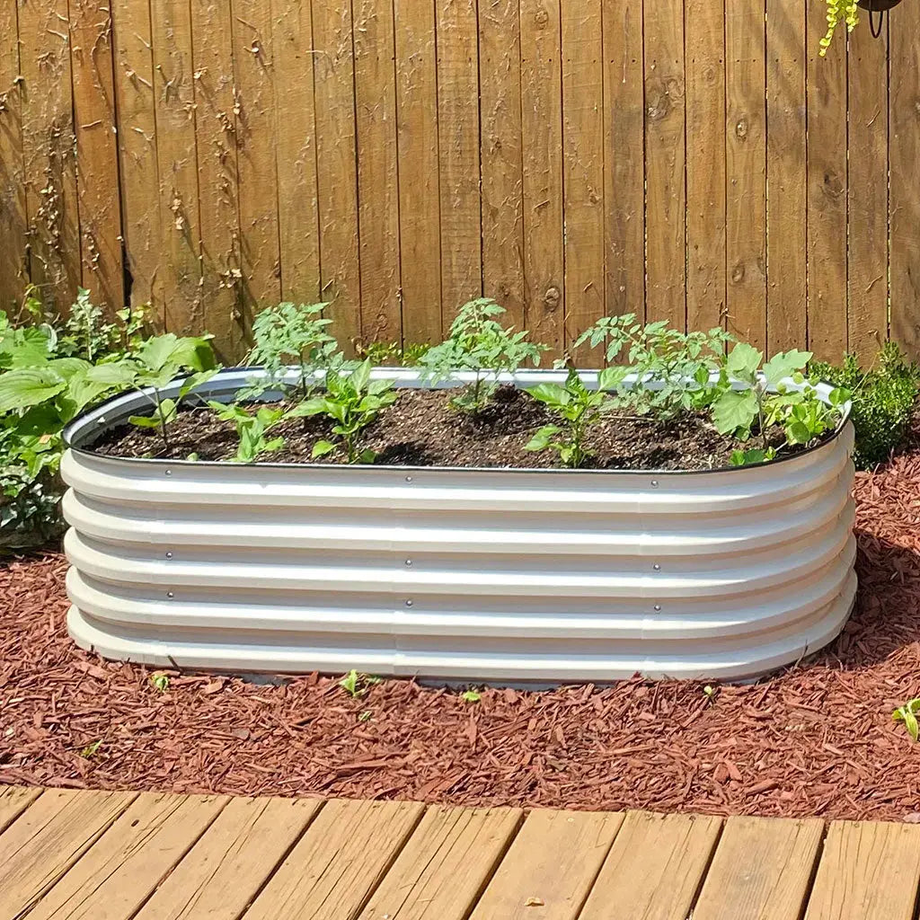 corrugated metal raised bed growing pepper seedlings-Vegega