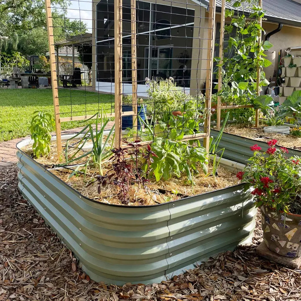 metal raised garden boxes-Vegega