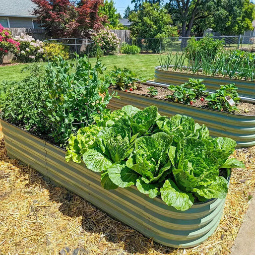raised metal garden box-Vegega
