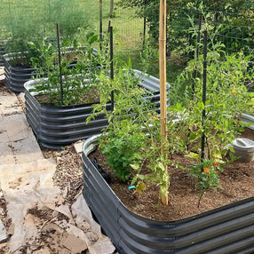 modern garden raised beds-Vegega