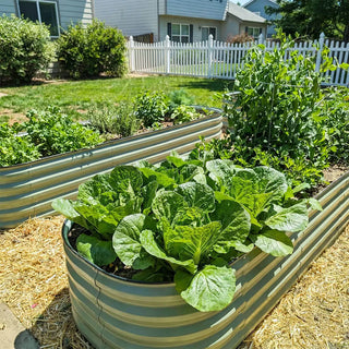 6.5x2 Modern Raised Garden Bed
