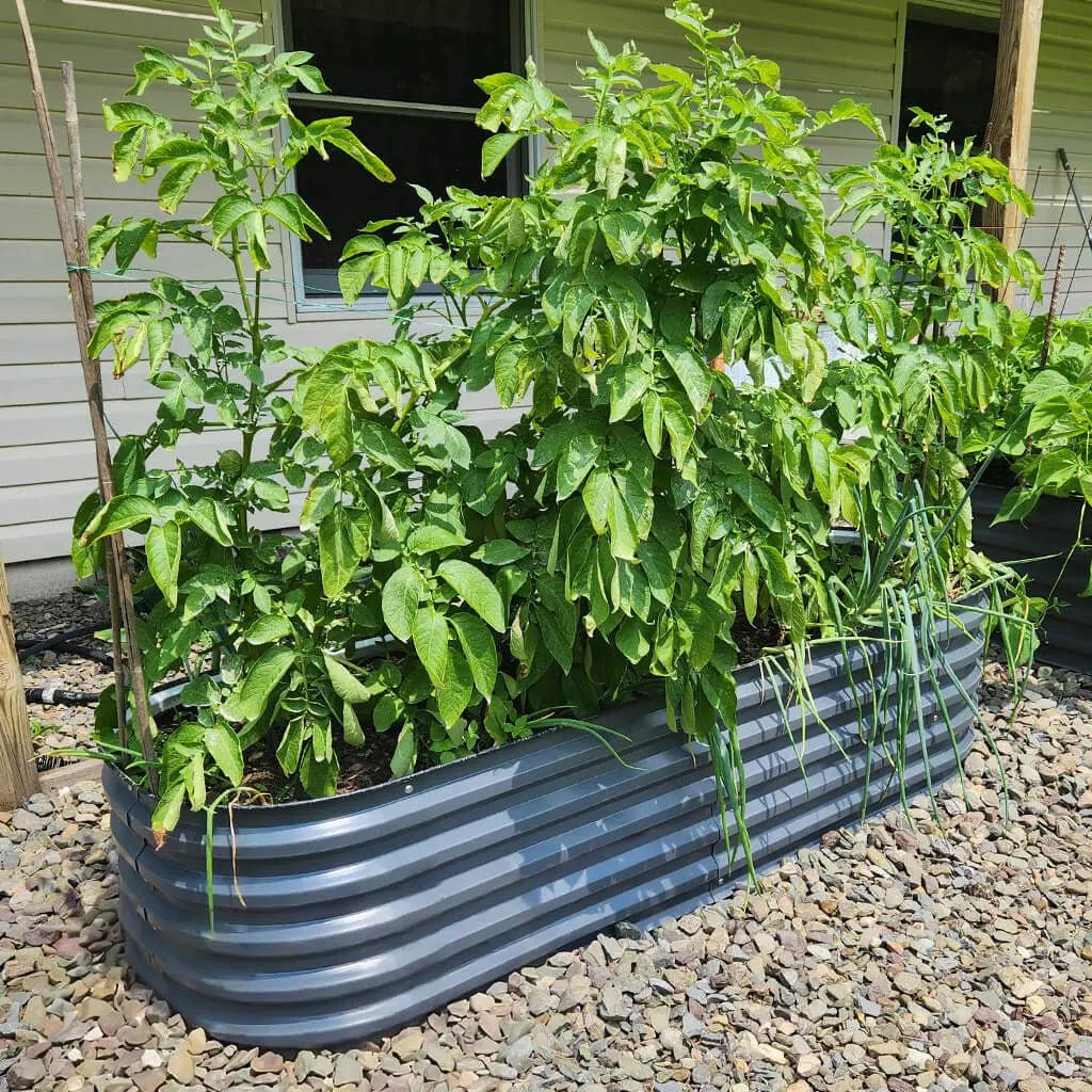 17'' Tall 6.5x2 Modern Raised Garden Beds (6 in 1)【Upgrade 2.0】 Vegega