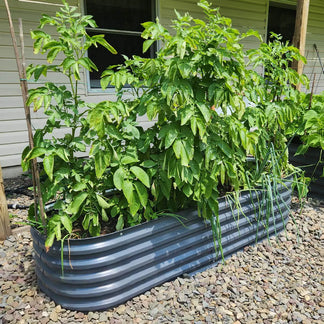 17'' Tall 6.5x2 Modern Raised Garden Beds (6 in 1)【Upgrade 2.0】 Vegega