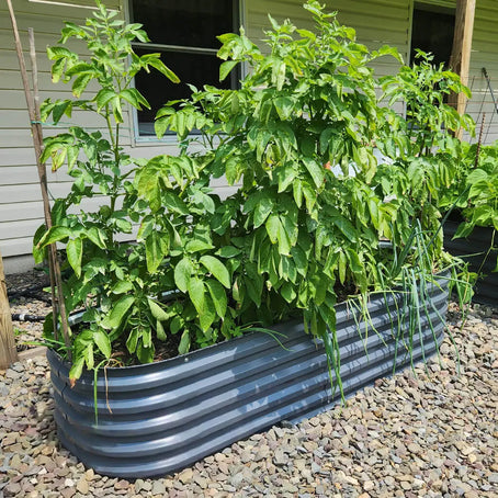 17'' Tall 6.5x2 Modern Raised Garden Beds (6 in 1)【Upgrade 2.0】 Vegega