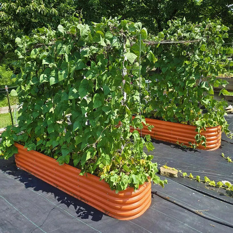 large outdoor planter boxes-Vegega