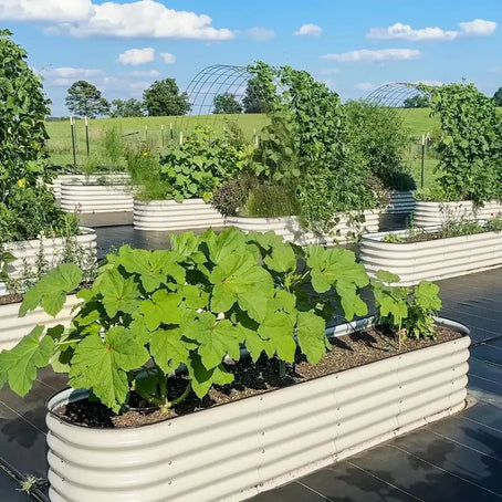 corrugated metal planter boxes-Vegega