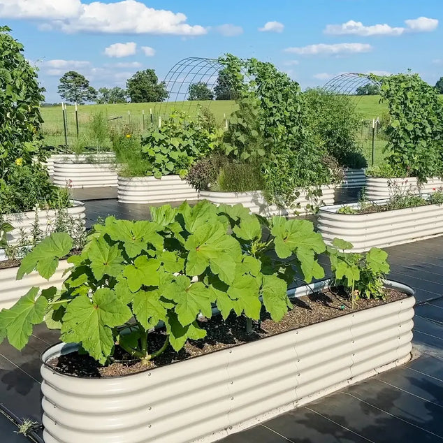 corrugated metal planter boxes-Vegega