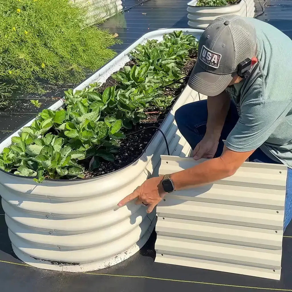 close up of planter boxes growing some melons