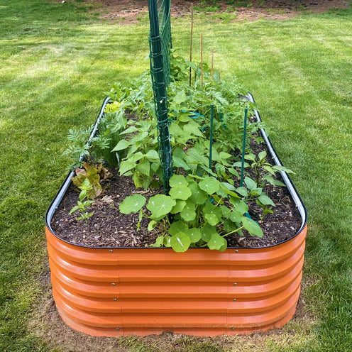 orange metal planter box growing scallions in the backyard
