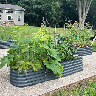 steel planter boxes growing plants-Vegega