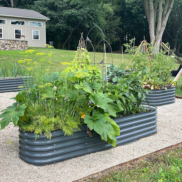 steel planter boxes growing plants-Vegega