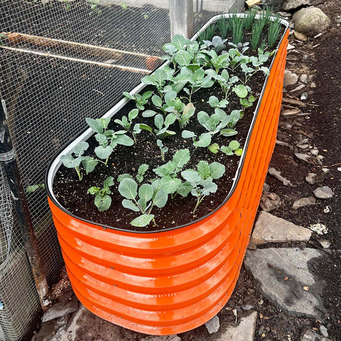 planter boxes ideas layout-Vegega