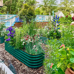 17 inches tall green galvanized steel planter boxes growing spring onions-Vegega