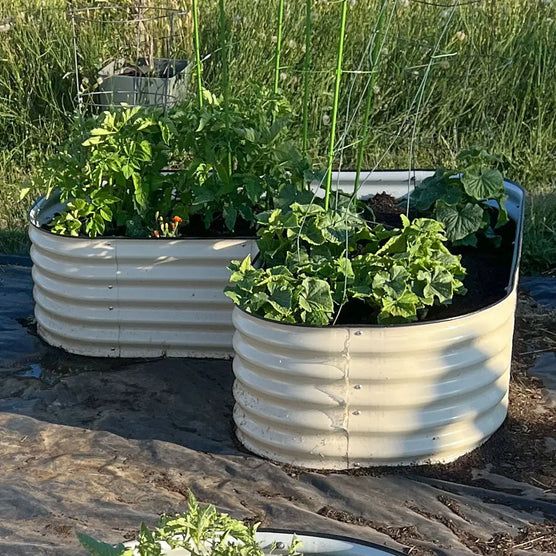 metal raised bed heart shaped-Vegega