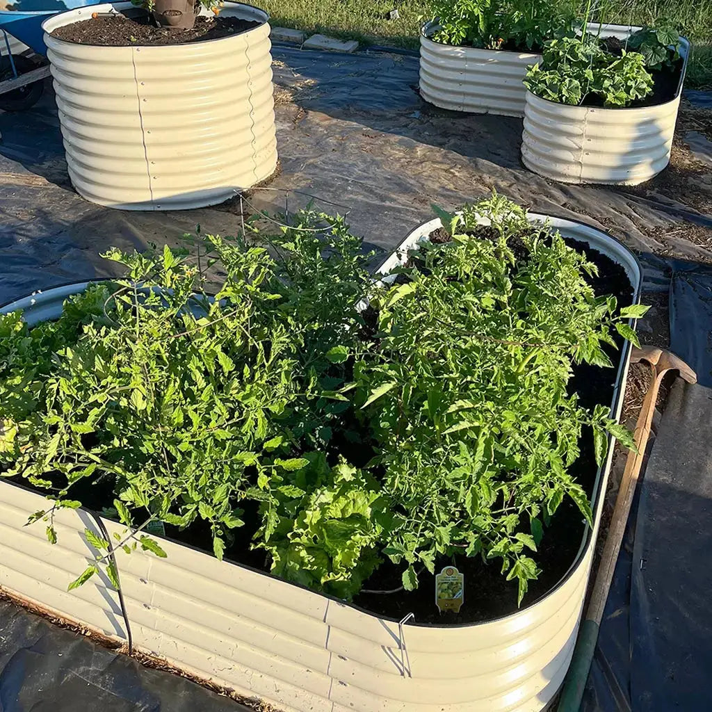 galvanized raised bed heart-shaped-Vegega