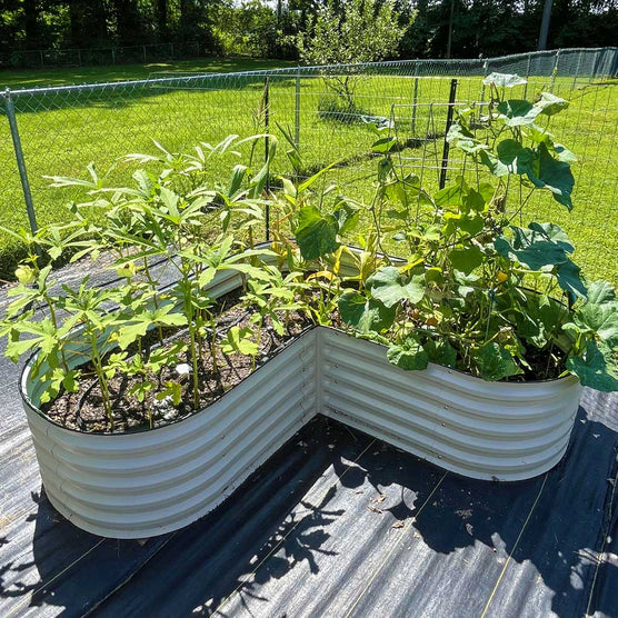 Heart Shaped Garden Bed