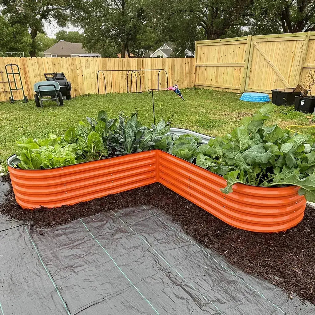L-shaped raised garden bed growing veggies-Vegega