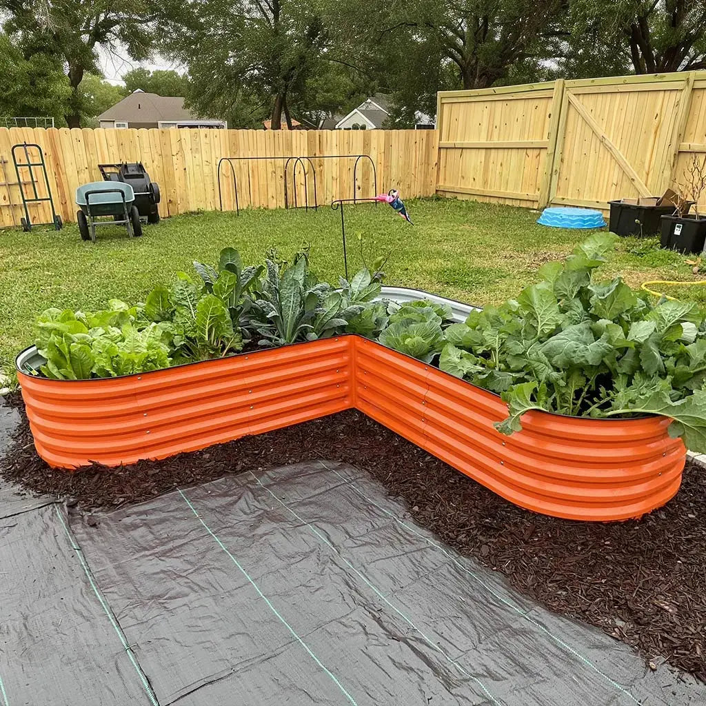 L-shaped raised garden bed growing veggies-Vegega