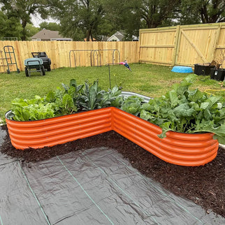 L-shaped raised garden bed growing veggies-Vegega
